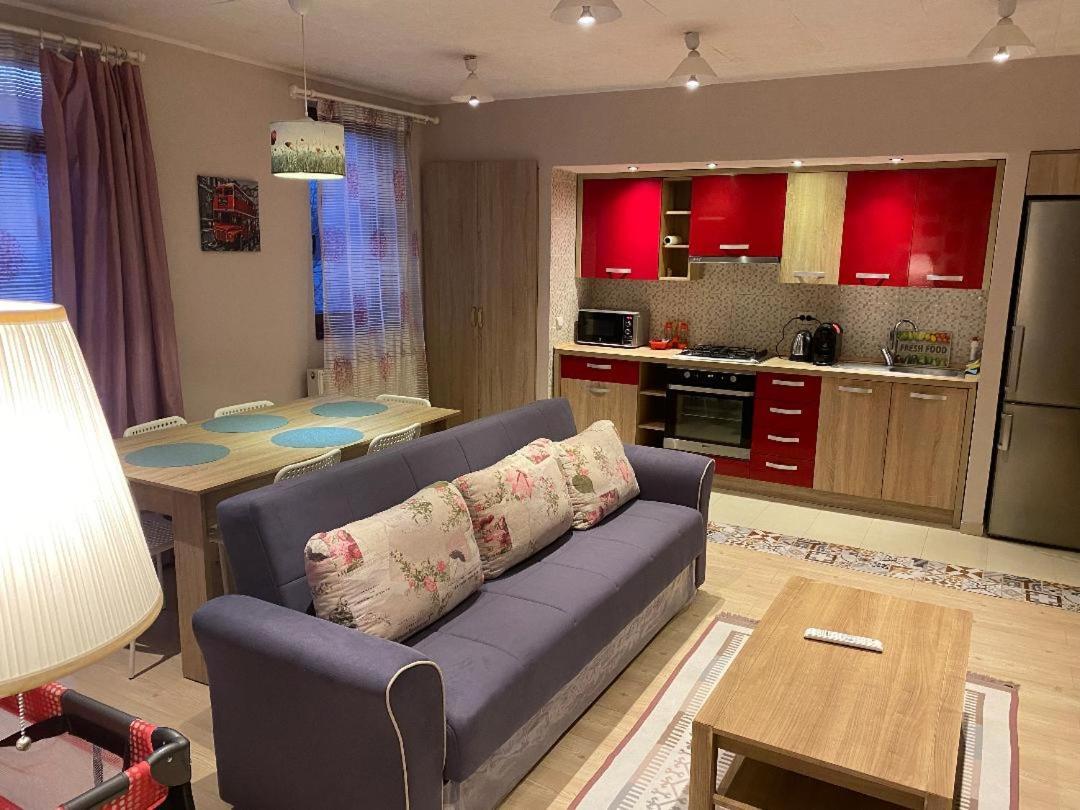 Igi Red Flat With Free Private Parking Leilighet Cluj-Napoca Eksteriør bilde